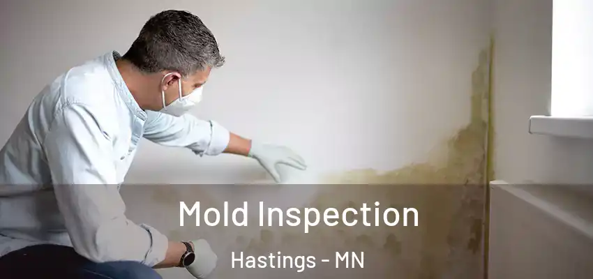  Mold Inspection Hastings - MN