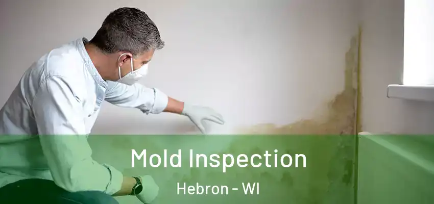 Mold Inspection Hebron - WI
