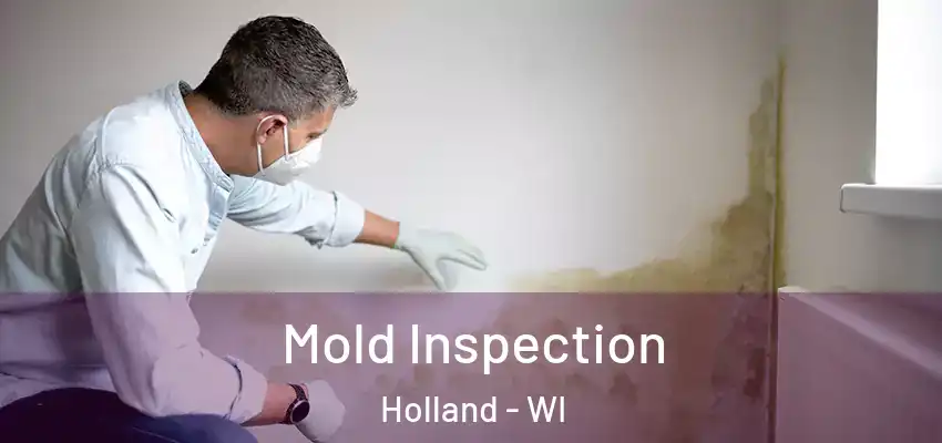  Mold Inspection Holland - WI