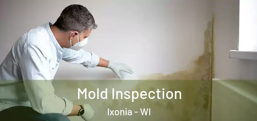  Mold Inspection Ixonia - WI