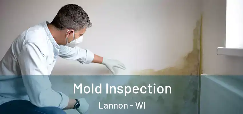  Mold Inspection Lannon - WI