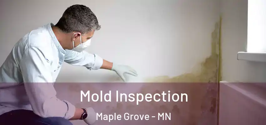 Mold Inspection Maple Grove - MN