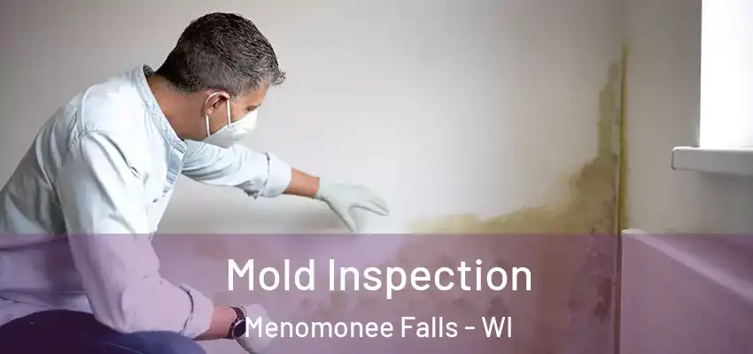  Mold Inspection Menomonee Falls - WI