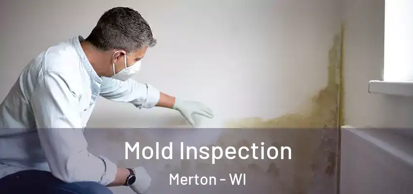  Mold Inspection Merton - WI