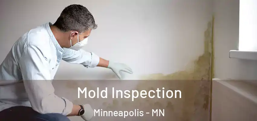  Mold Inspection Minneapolis - MN