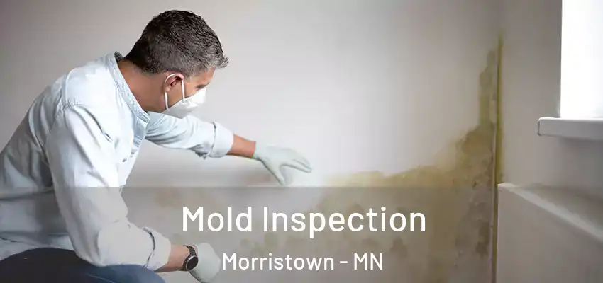  Mold Inspection Morristown - MN