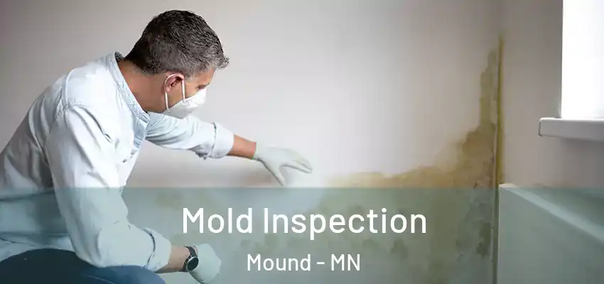 Mold Inspection Mound - MN