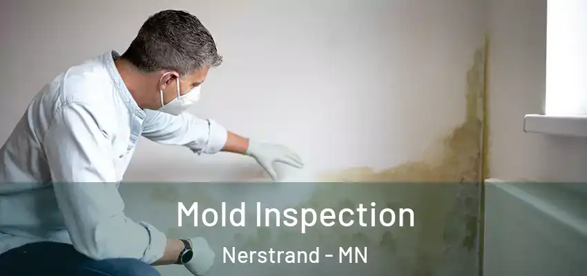 Mold Inspection Nerstrand - MN