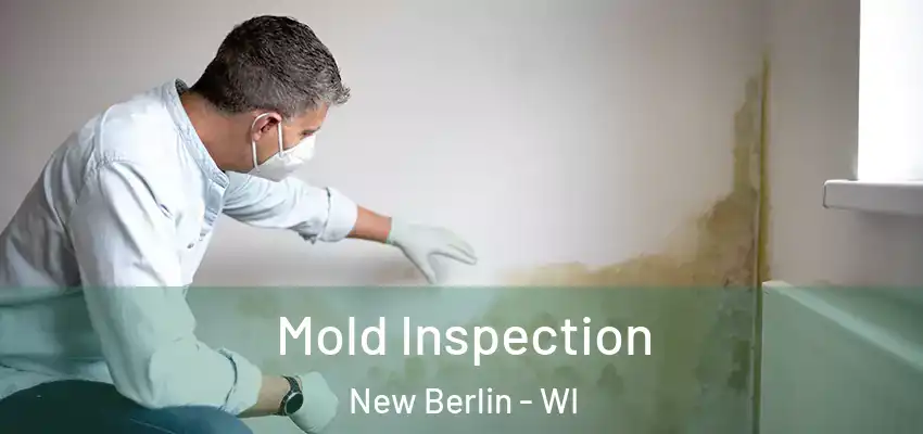  Mold Inspection New Berlin - WI