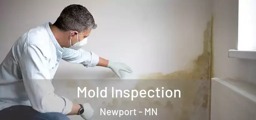  Mold Inspection Newport - MN