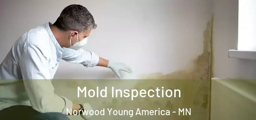  Mold Inspection Norwood Young America - MN