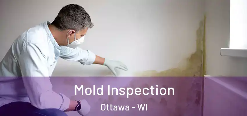 Mold Inspection Ottawa - WI