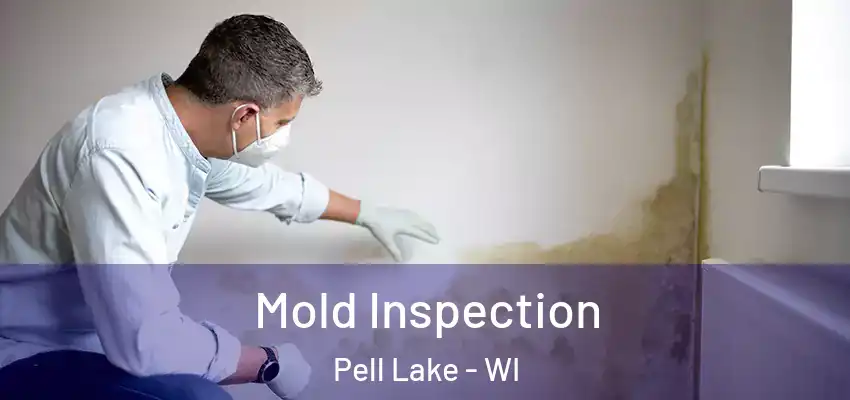  Mold Inspection Pell Lake - WI