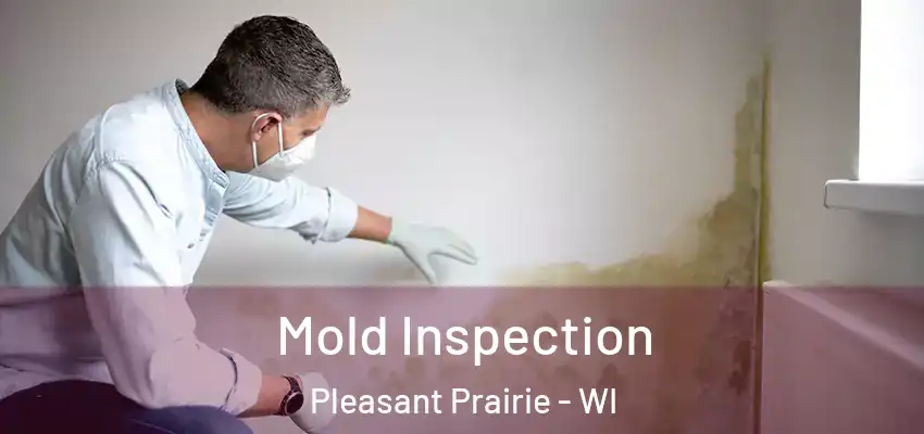  Mold Inspection Pleasant Prairie - WI
