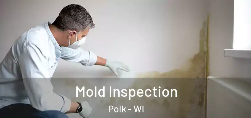  Mold Inspection Polk - WI