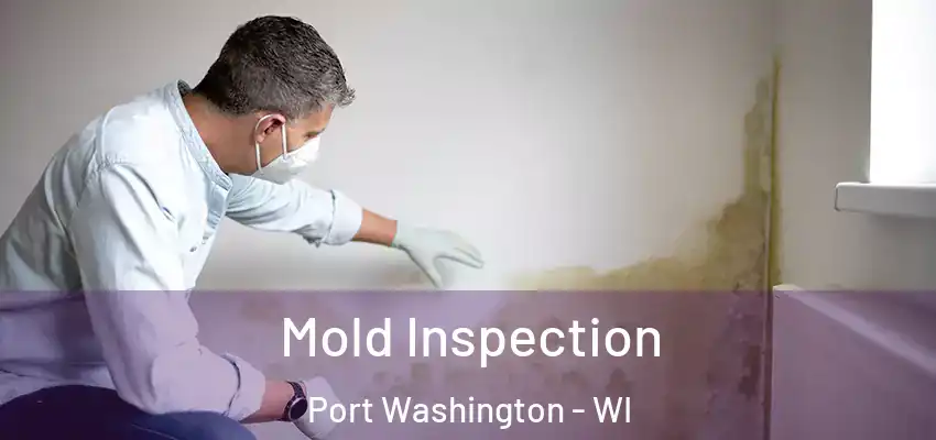  Mold Inspection Port Washington - WI