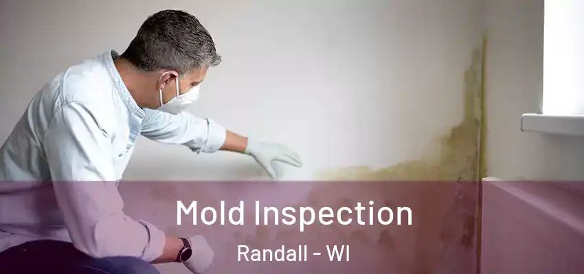 Mold Inspection Randall - WI