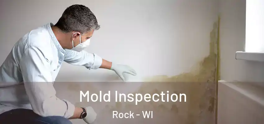  Mold Inspection Rock - WI