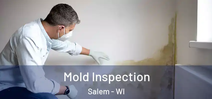  Mold Inspection Salem - WI