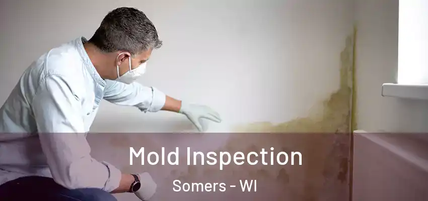  Mold Inspection Somers - WI