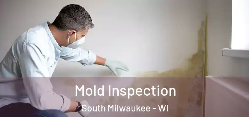  Mold Inspection South Milwaukee - WI
