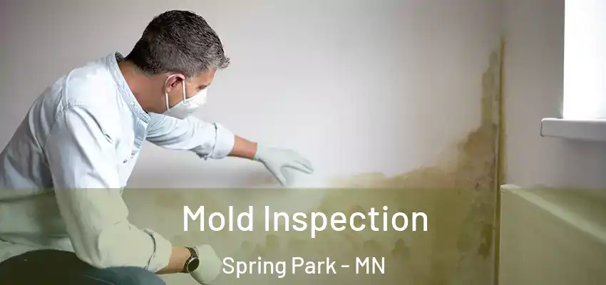 Mold Inspection Spring Park - MN