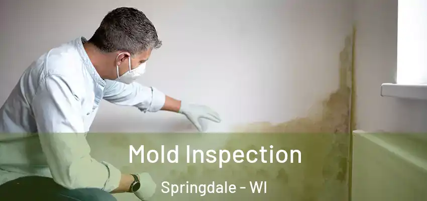  Mold Inspection Springdale - WI