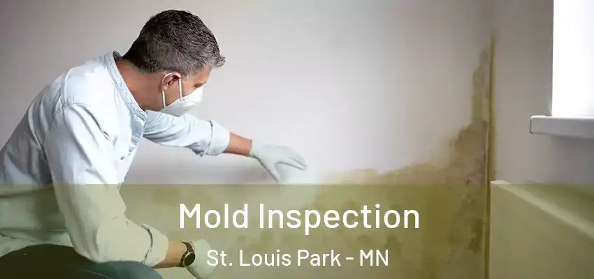  Mold Inspection St. Louis Park - MN