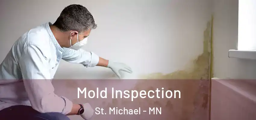 Mold Inspection St. Michael - MN