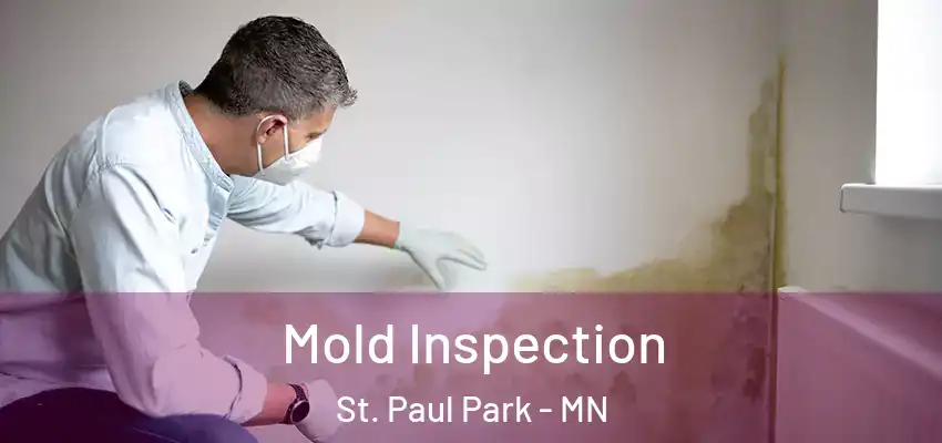  Mold Inspection St. Paul Park - MN