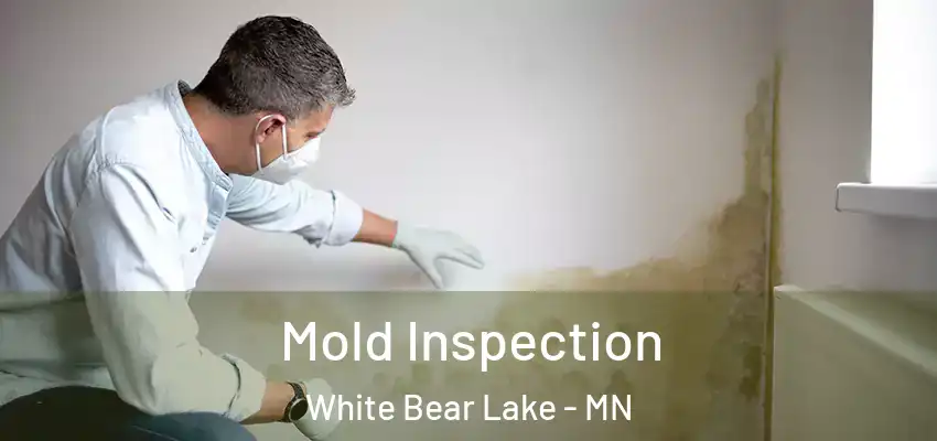  Mold Inspection White Bear Lake - MN