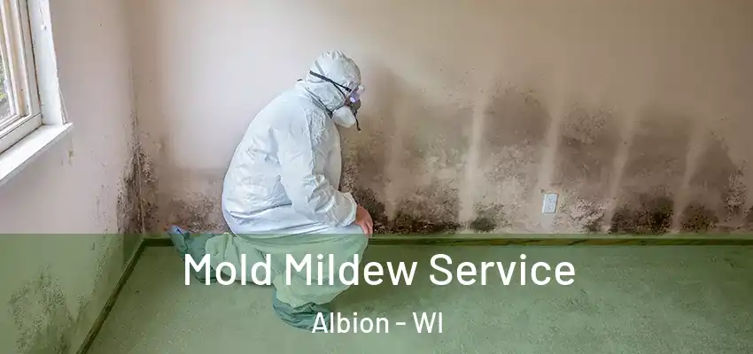  Mold Mildew Service Albion - WI