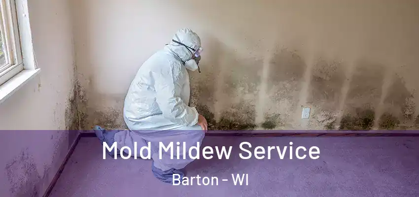  Mold Mildew Service Barton - WI