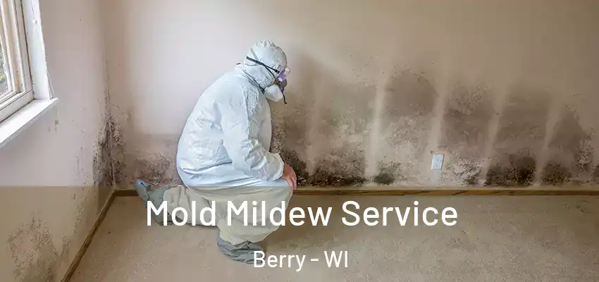  Mold Mildew Service Berry - WI