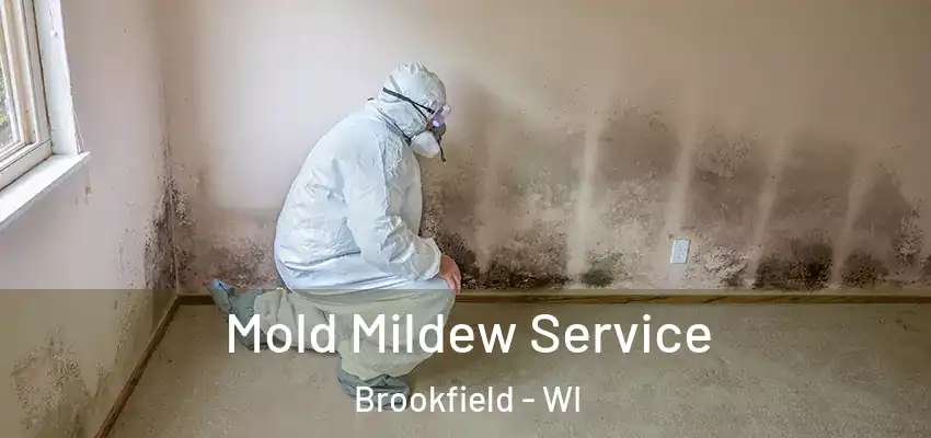  Mold Mildew Service Brookfield - WI