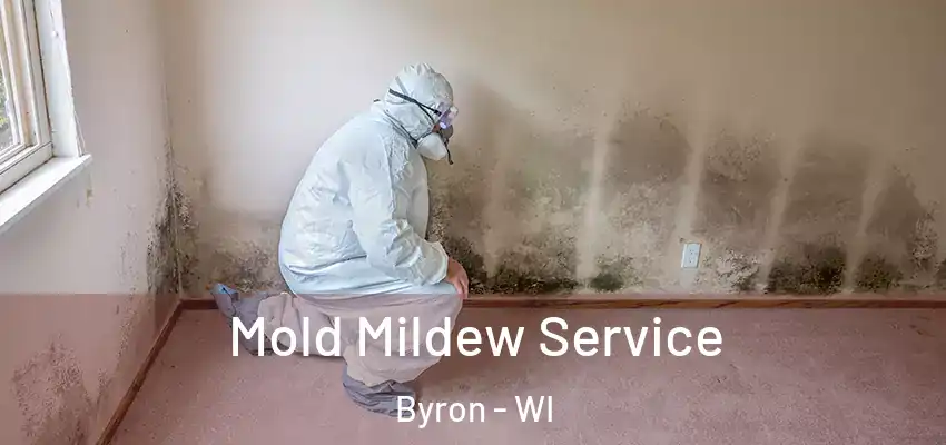  Mold Mildew Service Byron - WI