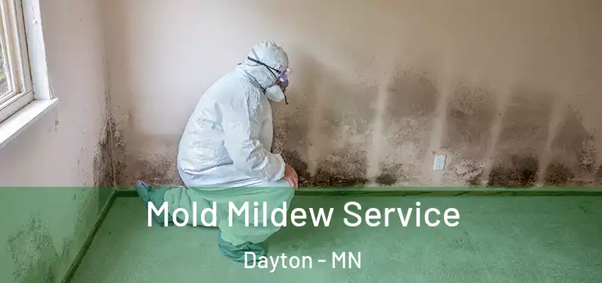  Mold Mildew Service Dayton - MN