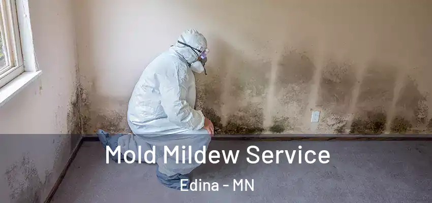 Mold Mildew Service Edina - MN