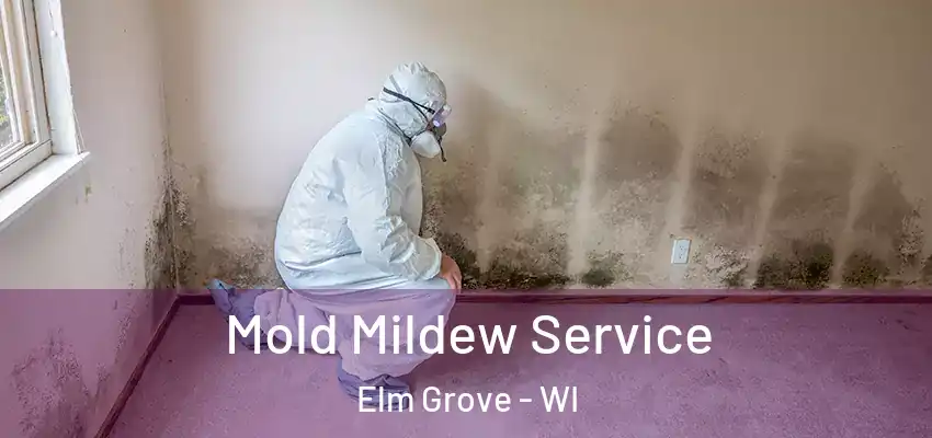  Mold Mildew Service Elm Grove - WI