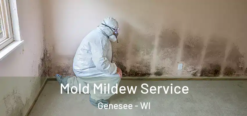  Mold Mildew Service Genesee - WI