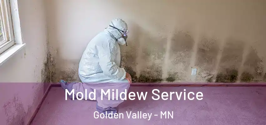  Mold Mildew Service Golden Valley - MN