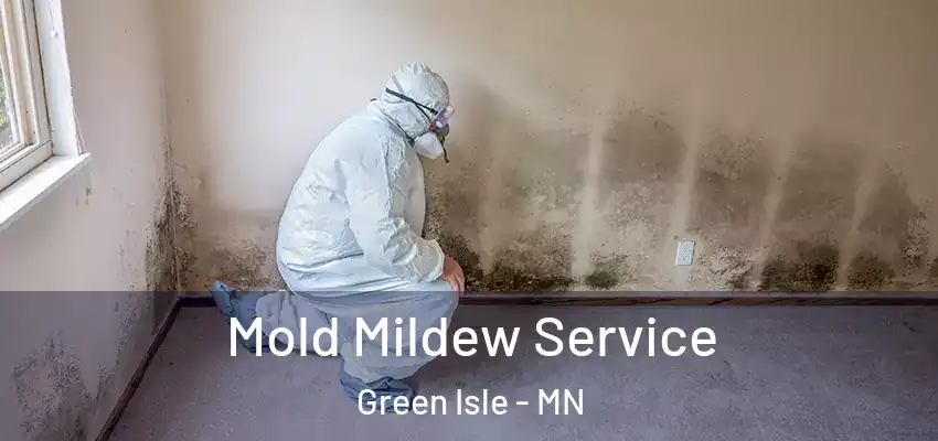  Mold Mildew Service Green Isle - MN