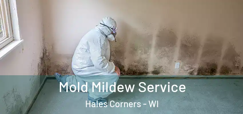  Mold Mildew Service Hales Corners - WI