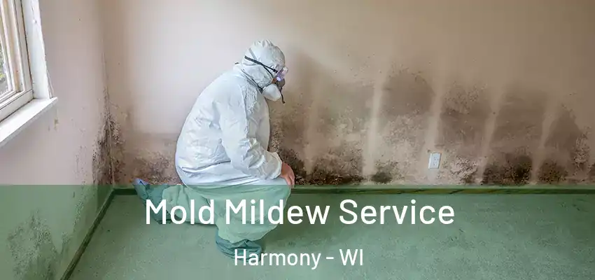  Mold Mildew Service Harmony - WI