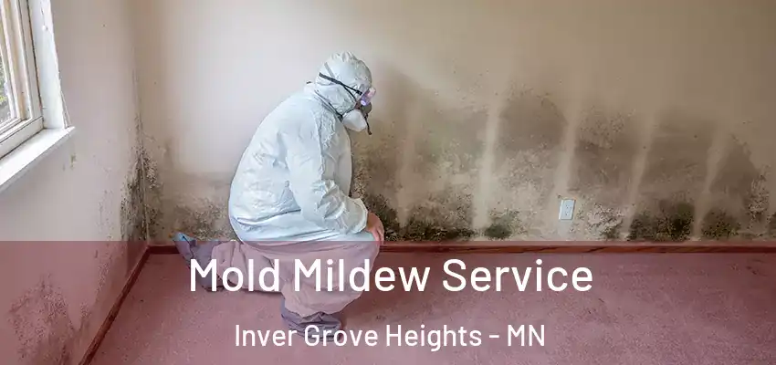  Mold Mildew Service Inver Grove Heights - MN