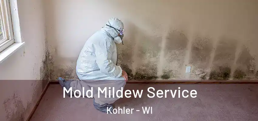  Mold Mildew Service Kohler - WI