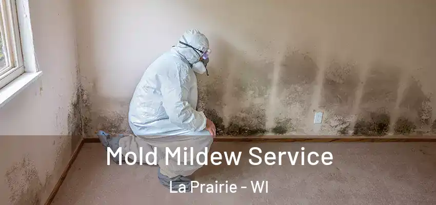 Mold Mildew Service La Prairie - WI