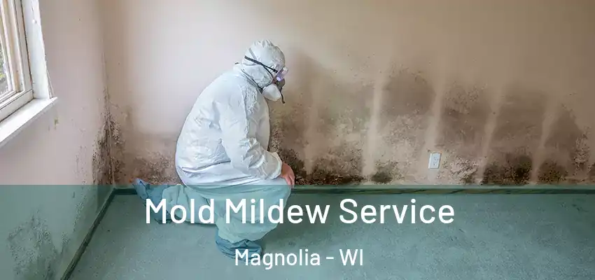 Mold Mildew Service Magnolia - WI