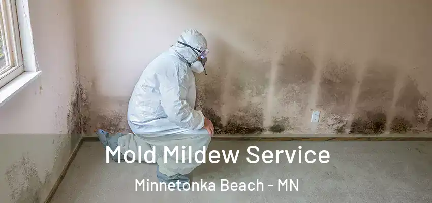  Mold Mildew Service Minnetonka Beach - MN