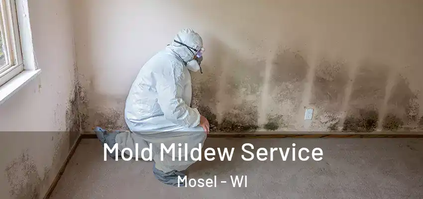  Mold Mildew Service Mosel - WI